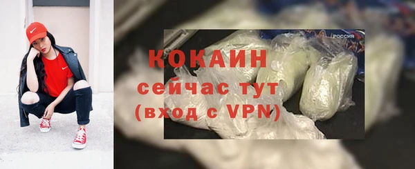 кокс Бородино