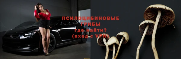 гидра Бугульма