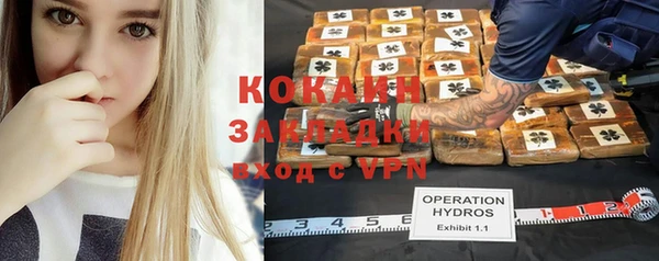 кокс Бородино
