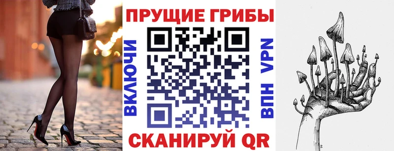 blacksprut   Обь  Галлюциногенные грибы Psilocybine cubensis  сколько стоит 